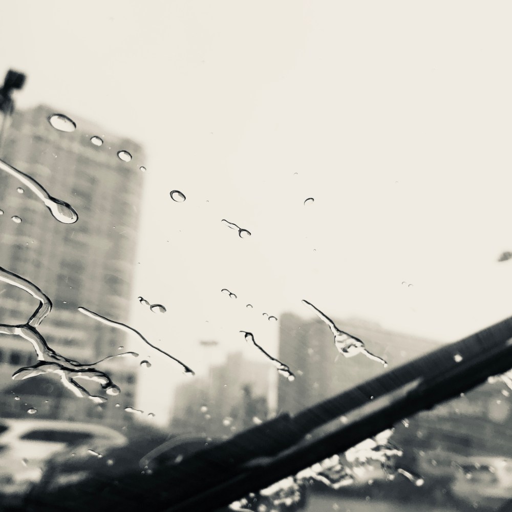 David F. Gasser Condado